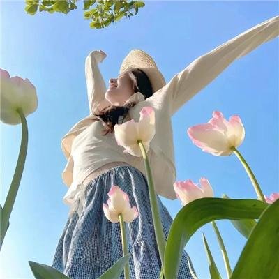 菊石